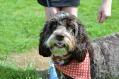 Barford-img-75-2017-06-19-13-21-02